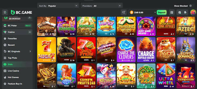 Understanding the BC.Game Login Process A Comprehensive Guide -306837854